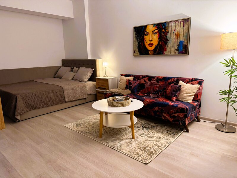 13 Septembrie, parc Sebastian, proprietar, garsoniera premium,